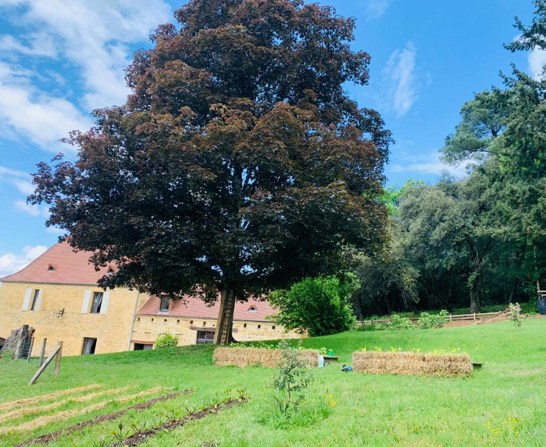 L'Ecrin Des Symes Villa Simeyrols Eksteriør bilde
